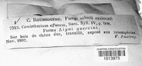 Image Associated With the Occurence